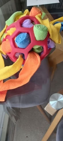 Photo of free Snuffle dog toy. (Fairfield Park) #1