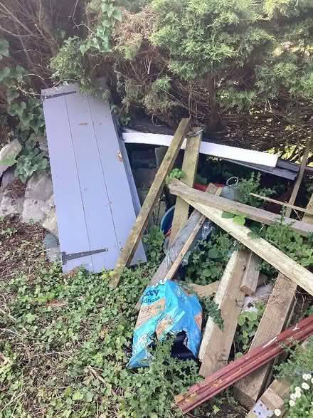Photo of free Wood (Allithwaite LA11) #3