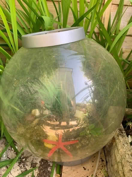Photo of free Fish bowl (Burgess Hill) #1