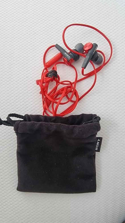 Photo of free Sony Earphones (SE18) #1