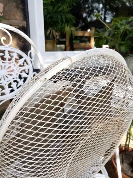 Photo of free Fan, (Horsforth LS18) #1