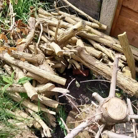 Photo of free Logs (M32 Stretford) #1