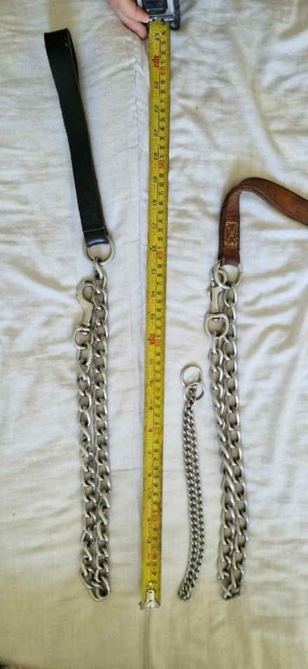 Photo of free Dog leads and slip collar (GL12) #1