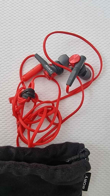 Photo of free Sony Earphones (SE18) #2