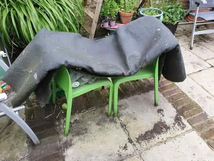 Photo of free Artificial Lawn 4m x 2m (Frome, BA11) #1