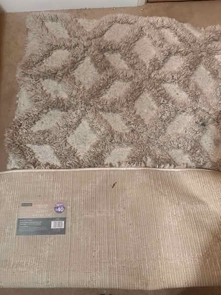 Photo of free Rug (DA5 bexley) #1