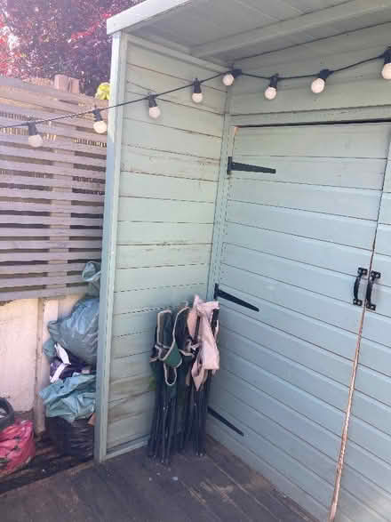 Photo of free Garden shed (Surrenden BN1) #3