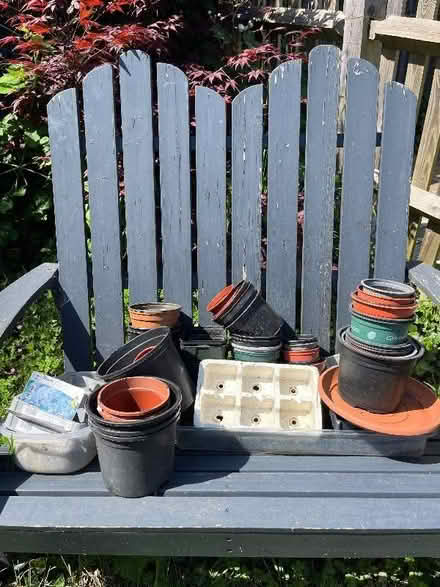 Photo of free Plastic plant pots (Polegate BN24) #1
