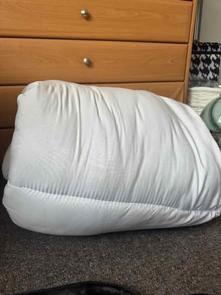 Photo of free Single Bed Duvet (Sundon Park LU3) #1