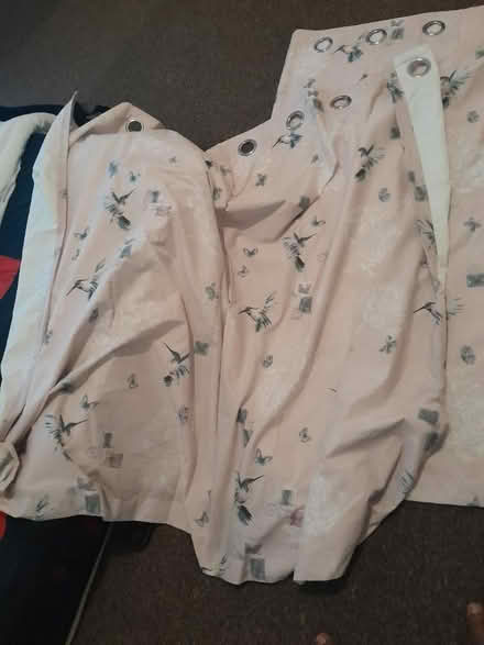 Photo of free 2 curtains (OL8) #1