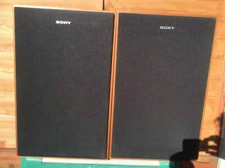 Photo of free Pair of Sony SS 1030 Speakers (Riverdene RG21) #1