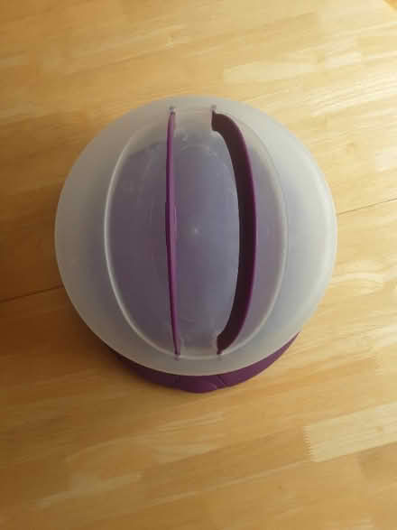 Photo of free Large cake cover (Hove BN3) #3