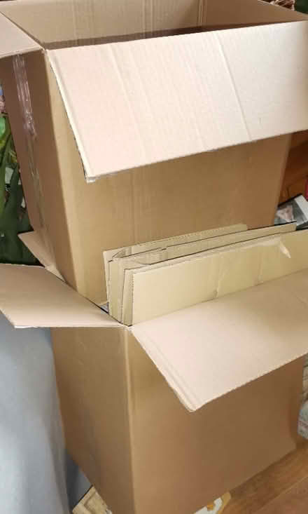 Photo of free Cardboard boxes for storage and packing (Low Beechburn DL15) #1