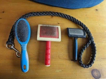 Photo of free Dog bits (B14) #2