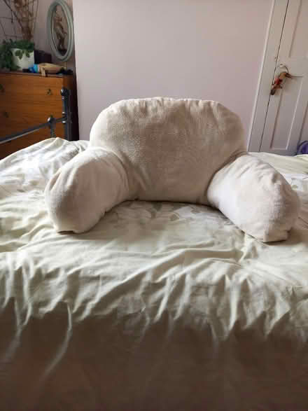 Photo of free Back support pillow (Fratton PO1) #1