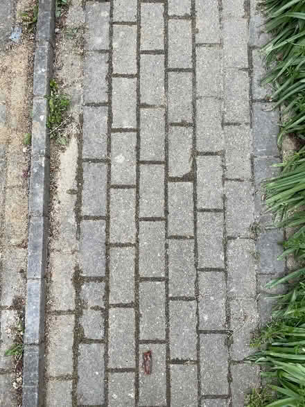 Photo of free Buff/yellow and charcoal brick pavers (paving bricks) - KT2 (Kingston Gate KT2) #1