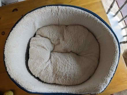 Photo of free Dog bits (B14) #3