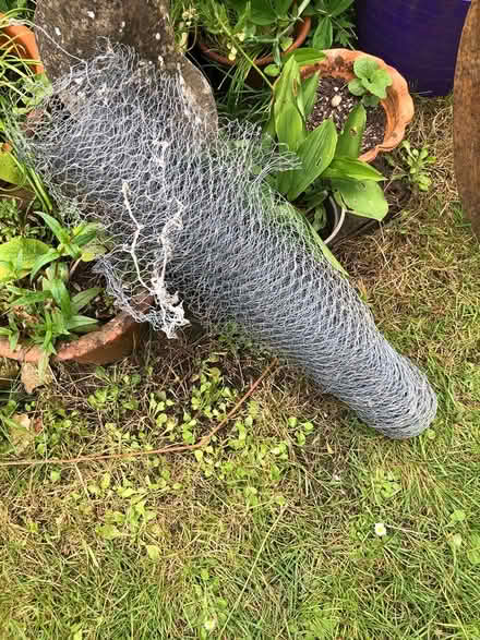 Photo of free Roll of chicken wire (Corsham SN13) #1