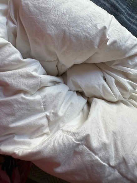 Photo of free Queen size summer duvet - feathers (Elephant and castle SE1) #2