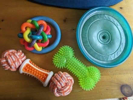 Photo of free Dog bits (B14) #1