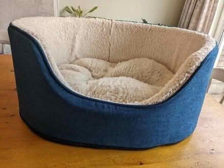 Photo of free Dog bits (B14) #4