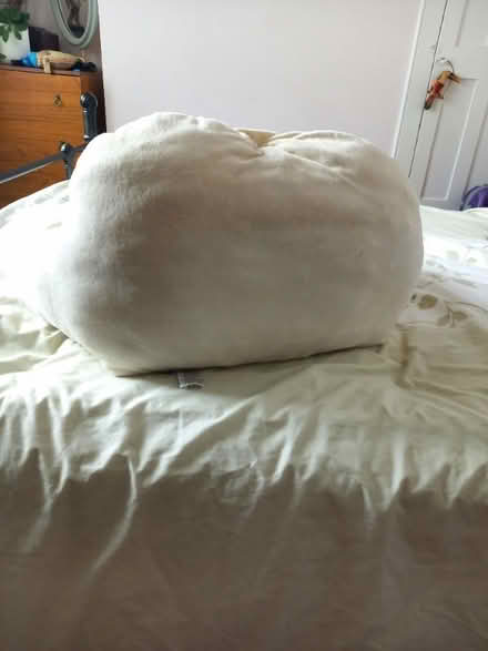Photo of free Back support pillow (Fratton PO1) #2