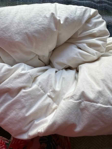 Photo of free Queen size summer duvet - feathers (Elephant and castle SE1) #1