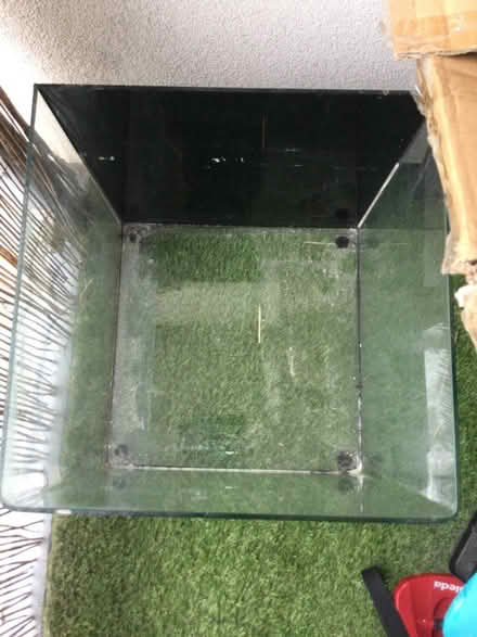 Photo of free Large fish tank aquarium (Shoreham by sea) #2