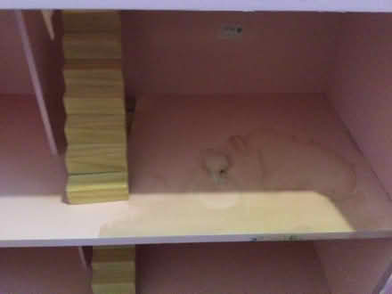 Photo of free Pink doll house (Shoreham by sea) #2