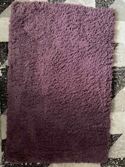 Photo of free Purple teddy bear rug (Penperlleni NP4) #1