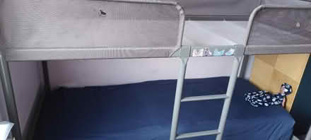 Photo of free Children's Bunk bed (London N17) #4