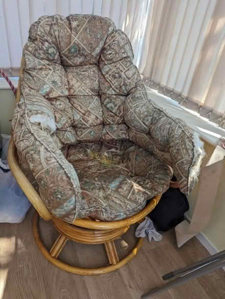 Photo of free Pine bucket / swivel chair (West Worthing BN13) #1