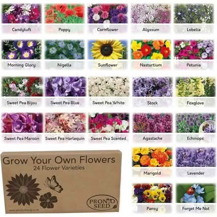 Photo of Flowers Seeds, Fruit and Veg Seeds (ME11) #2