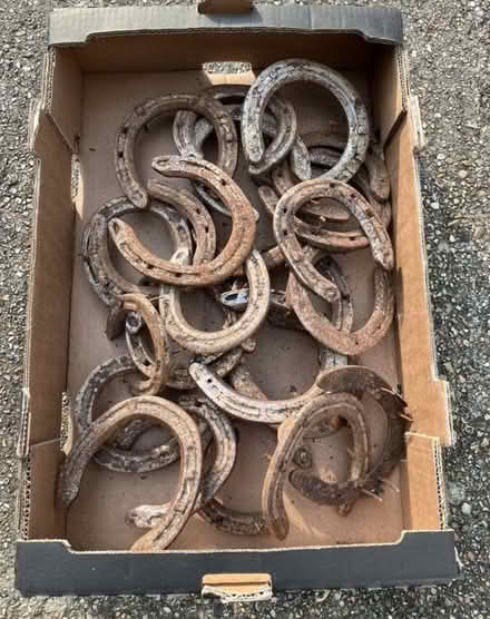 Photo of Horseshoes (AB24) #1