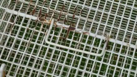 Photo of free Cat / Small Pet Crate (Charvil RG10) #3