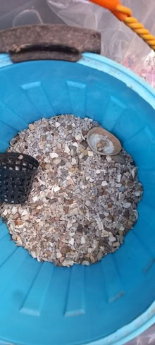 Photo of free Fish tank gravel and net (Pinehurst SN25) #3