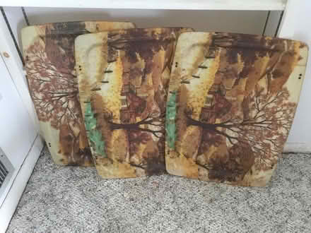 Photo of free Tray table tops (Springfield (Delco)) #1