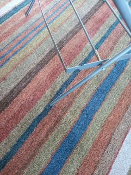 Photo of free Clothes airer (Lochend EH7) #1