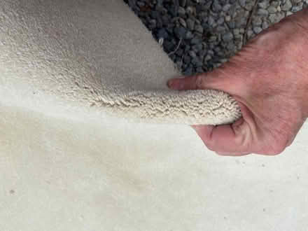 Photo of free Good Quality Beige Carpet (Finchampstead RG40) #1