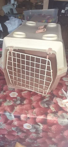 Photo of free Cat Carrier (Halton LS15) #1
