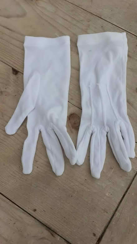 Photo of free Dressing up gloves (Loosley Row HP27) #1