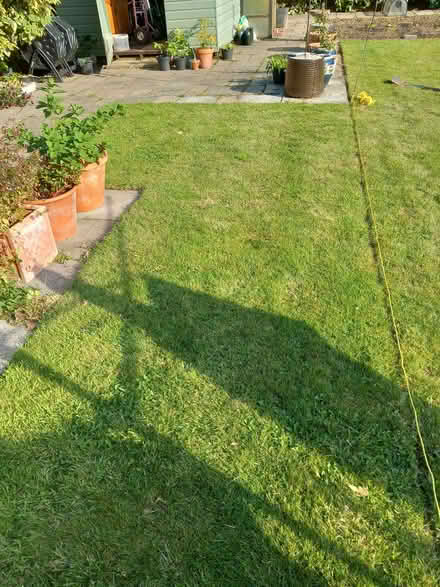 Photo of free Turf (Felixstowe) #1