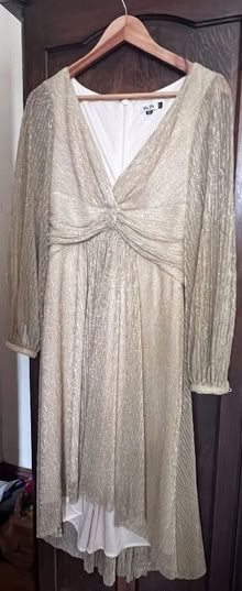 Photo of free Gold Dress (size 10) (Great Moor SK2) #1