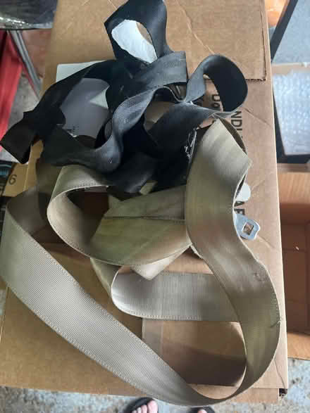 Photo of free Seat belt for craft (N.Farmington) #1
