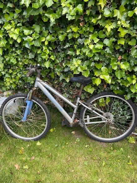 Photo of free Girls Bikes (South Dublin) #1