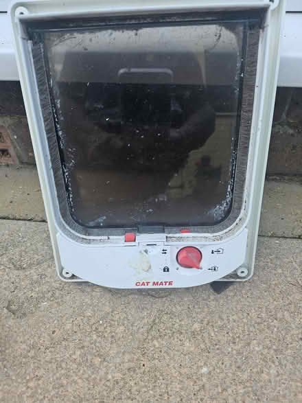 Photo of free Cat Flap (Southsea PO4) #1