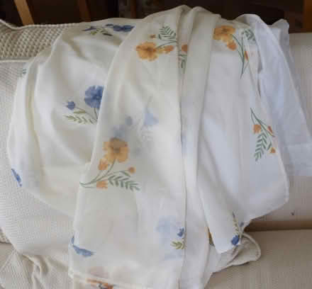 Photo of free Lightweight lined curtain (Willingdon BN21) #2