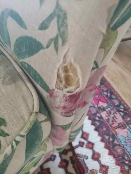 Photo of free Armchair a small tear on the left arm. (Langside G43) #1