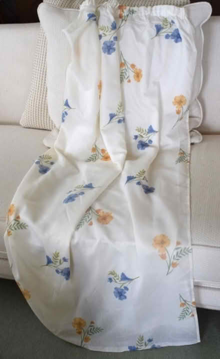 Photo of free Lightweight lined curtain (Willingdon BN21) #1