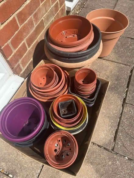 Photo of free Plastic Plant Pots (Ferndown BH22) #1